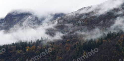 Preview: foggy autumn mountains