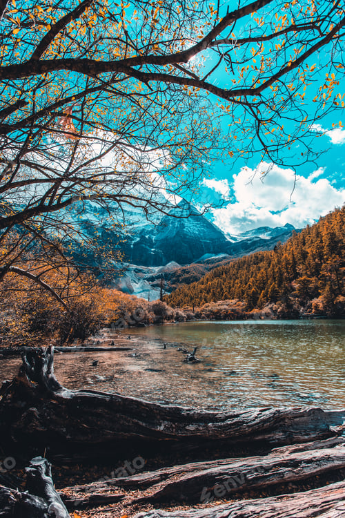 Preview: Colorful in autumn forest and snow mountain at Yading nature reserve