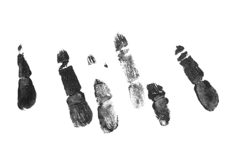 Preview: fingerprint hand palm texture png isolated