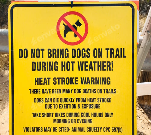 Preview: Warning for all dog owners who might be hiking or walking the trails during the Summertime heat