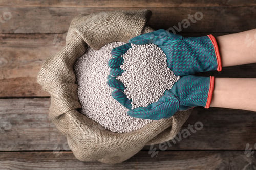 Preview: Woman with handful of fertilizer over bag on wooden table, top view. Horticulture and gardening