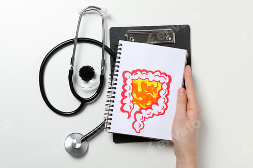 Preview: Concept of health care and internal organs - intestines