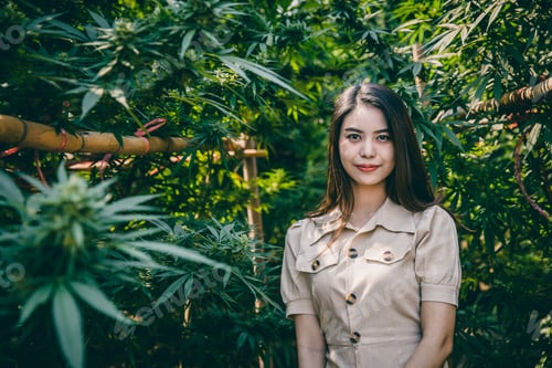 Preview: Woman business owner Cannabis farm, Girl teen with Marijuana or Hemp green herbal plant happy smile.