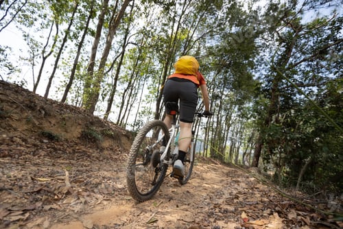 Preview: Woman cyclist cycling on mountain top forest trail