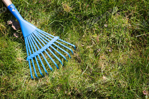 Preview: Blue rake