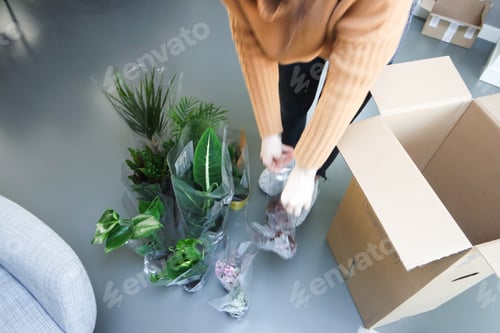 Preview: Woman unpacking house plants into cardboard box