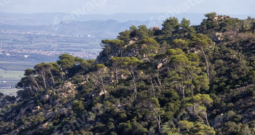 Preview: Green Trees on top of Rocky Mountain and town in background.