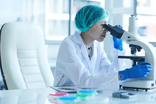 Preview: Woman working with microscope in the lab