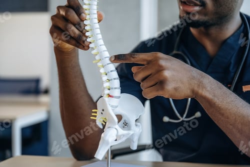 Preview: Spine model. Professional doctor is in his office indoors