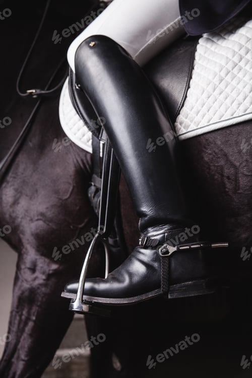 Preview: Jockey prepearing horse for the ride