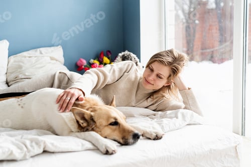 Preview: Happy young woman lying in the bed with her dogs, blue wall background