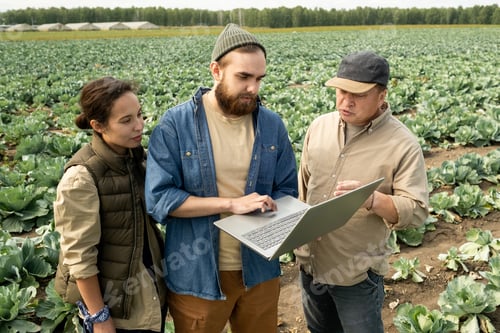 Preview: Three farmers discussing online data or watching video