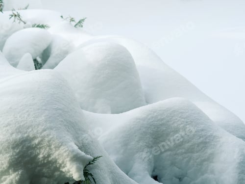 Preview: Winter tree branches covered with snow, background