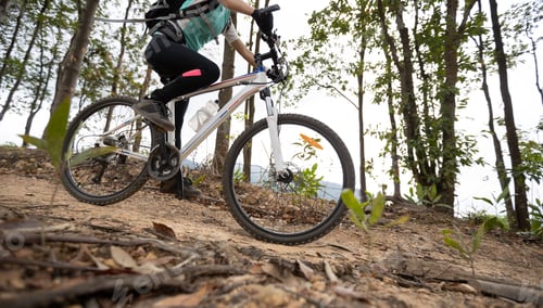 Preview: Woman cyclist cycling on mountain top forest trail