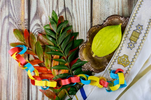 Preview: fruit