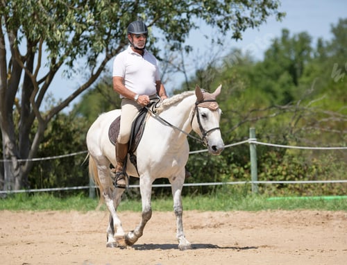 Preview: riding man and horse