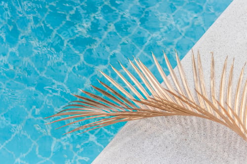 Preview: Blue swimming pool water texture with palm leaf in a sunny day