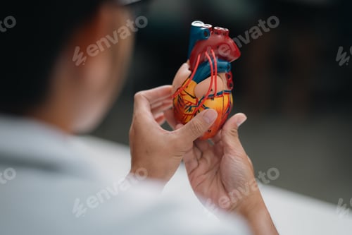 Preview: Cardiologist Providing Comprehensive Health Care, Patient Exams Diagnosing Cardiac Diseases