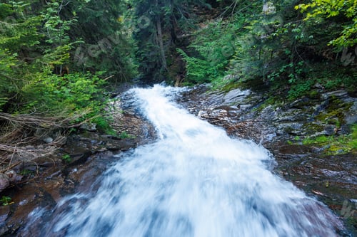 Preview: Water from a stream runs among stones, in a forest