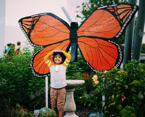 Preview: Happiness and butterflies