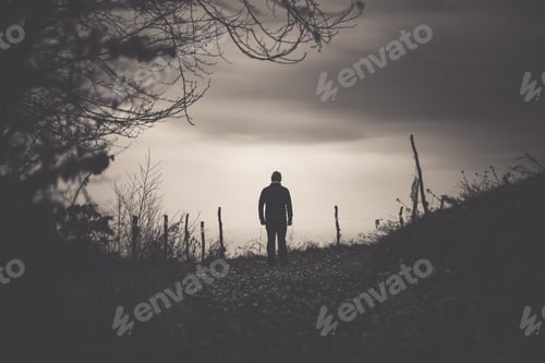 Preview: Man walking in a foggy autumn landscape