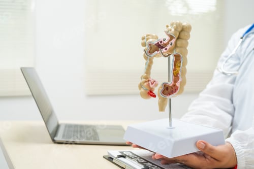 Preview: A female doctor sits at a table in a hospital, discussing intestinal health issues, including