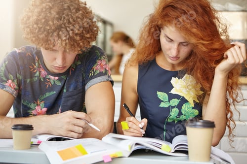 Preview: Serious students working together while sitting at cafeteria: beautiful freckled female with curly r