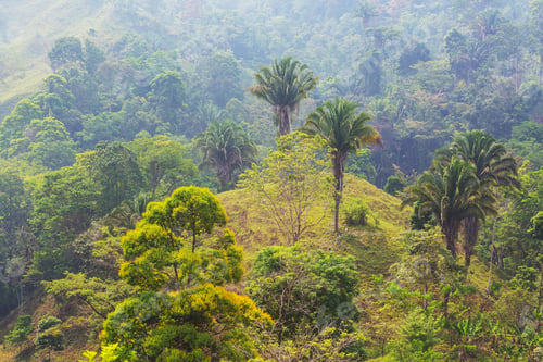 Preview: Mountains in Honduras