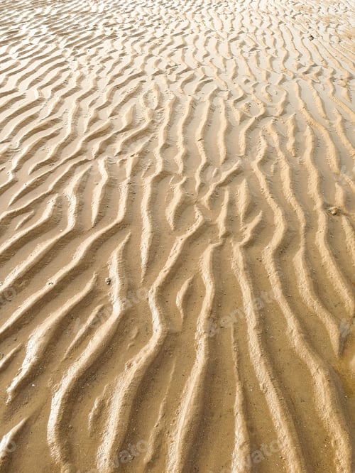 Preview: Vertical high angle shot of natural traces on the sand