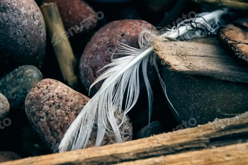 Preview: Closeup shot of stones, feather, and wood elements at the beach of Baltic Sea, Lithuania