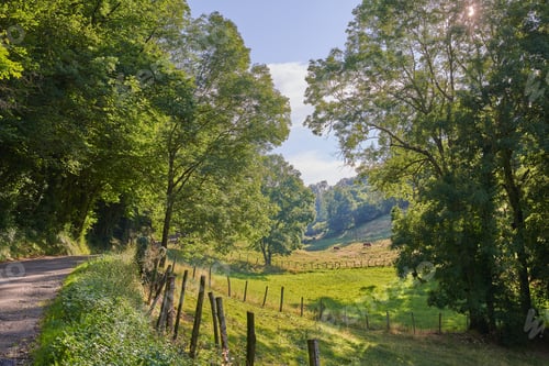 Preview: Countryside, farmland and forest - close to Lyon, France