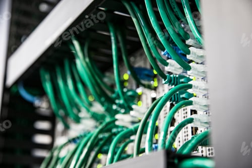 Preview: Cat 5 cables hooked to servers in a computer server farm.