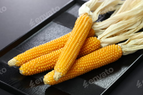 Preview: Corn Cob for popcorn