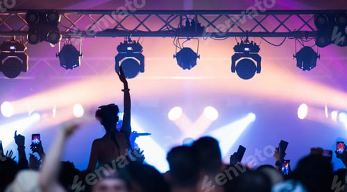 Preview: crowd at concert - summer music festival