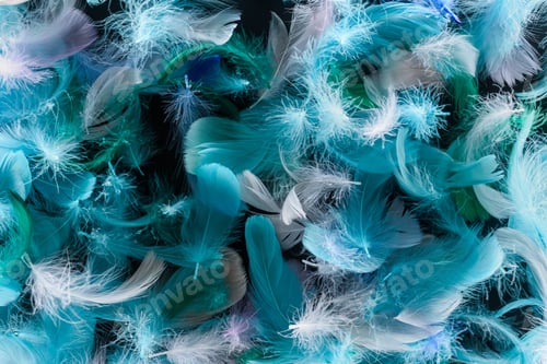 Preview: seamless background with bright blue, green and turquoise lightweight feathers isolated on black