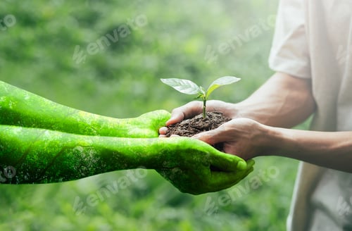 Preview: environment earth day In the hands of a man holding a planted tree ready to return