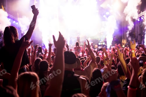Preview: Portrait of happy crowd enjoying at music festival