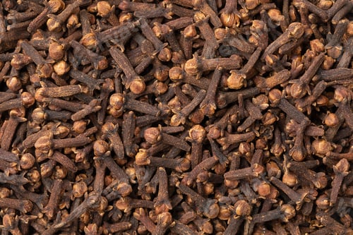 Preview: Dried cloves full frame as background