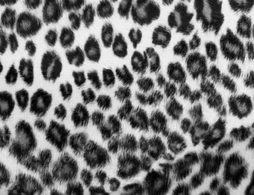 Vista previa: Monochrome leopard Print