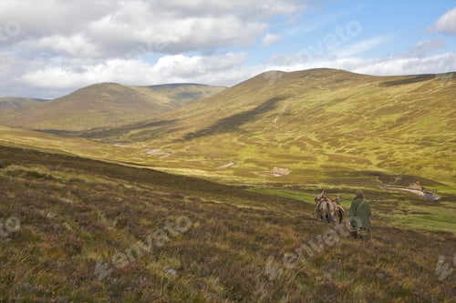 Preview: A serene walk through rolling hills with a loyal horse companion.