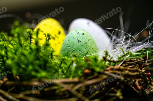Preview: bird nest with colored Easter eggs on branches of green trees, easter decoration, selective focus