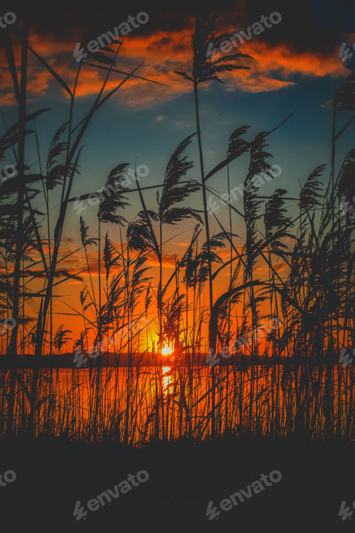 Preview: Beautiful scenic view of the red sunset over a lake