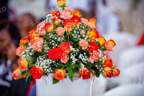 Preview: Flowers petals leaf blooming plants vegetations floral Kenya East Africa