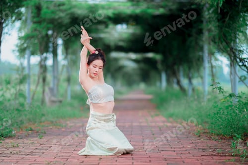 Preview: chinese dancing
