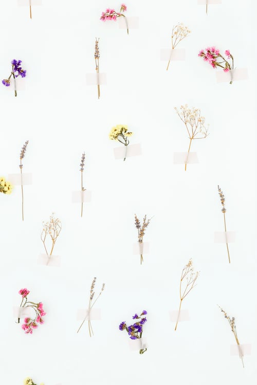 Preview: Background made from flower pattern