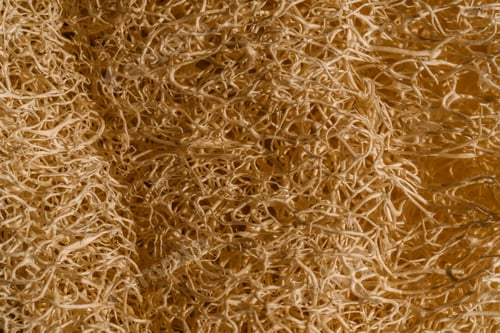 Visualização: Textura da esponja natural Loofah bege close-up.
