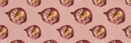 Preview: A drop of cosmetic gel with a flower on a pink background