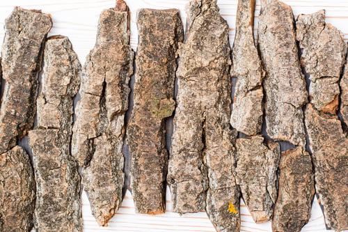 Preview: Pieces of bark of a tree lie in a row on a white background