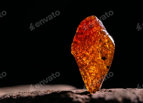 Preview: Natural amber. A piece of yellow transparent natural amber on large piece of dark stoned wood.