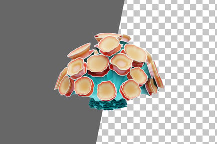 Preview: Mushroom Coral 3D Icon